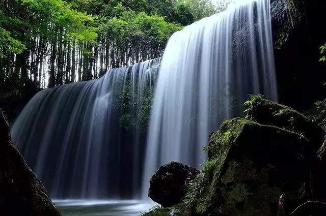 逃离椰子岛